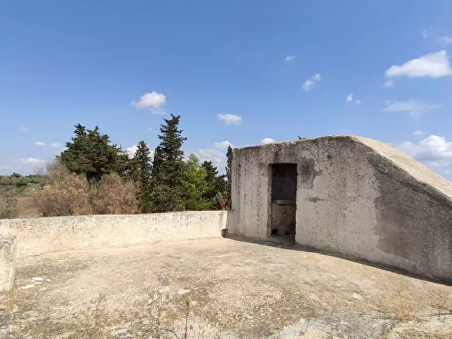 Immagine 13 di Villa in vendita  a Alezio