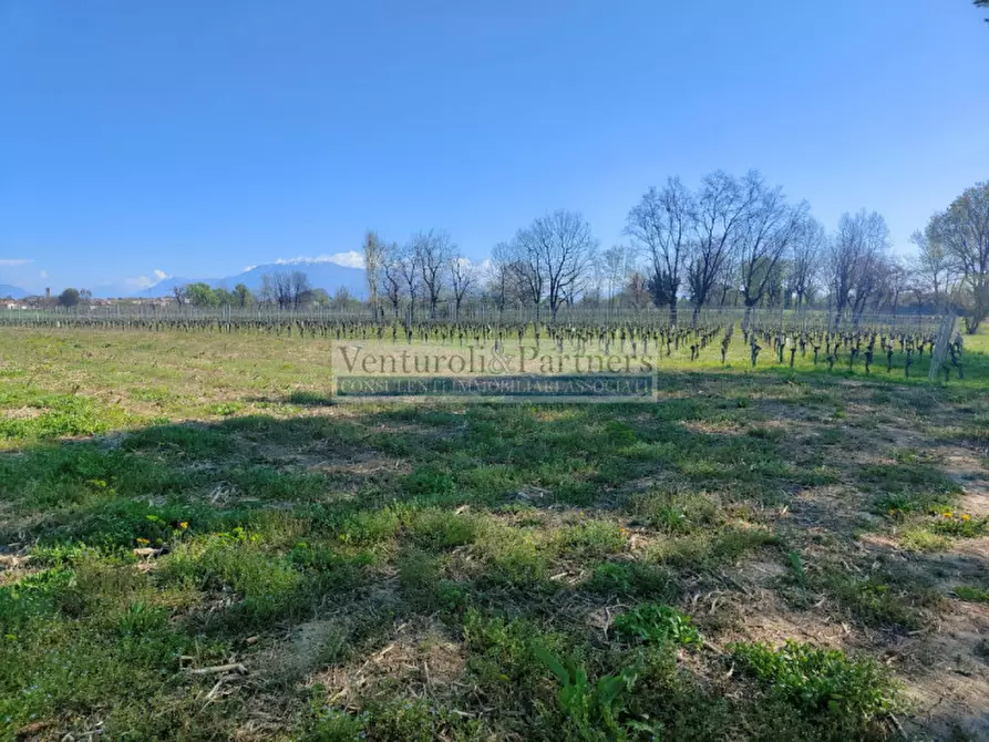 Immagine 2 di Terreno in vendita  in via delle noveglie a Manerba Del Garda