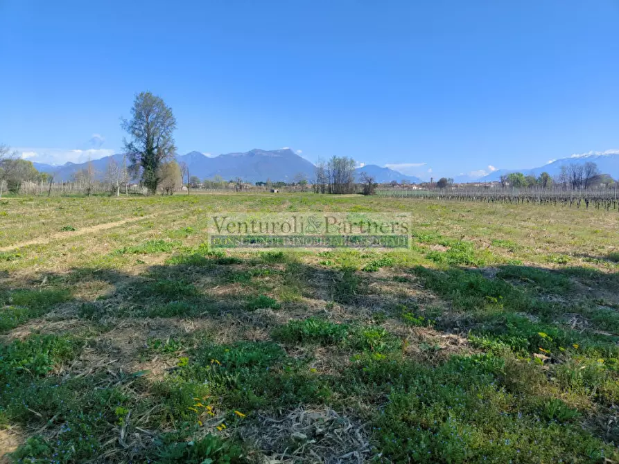 Immagine 3 di Terreno in vendita  in via delle noveglie a Manerba Del Garda