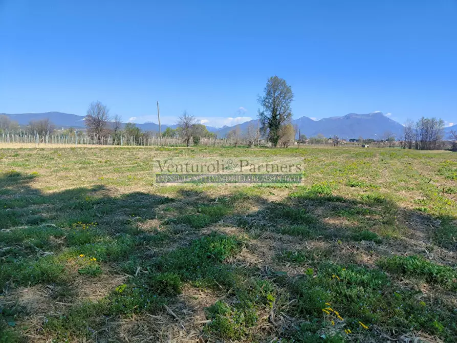 Immagine 4 di Terreno in vendita  in via delle noveglie a Manerba Del Garda