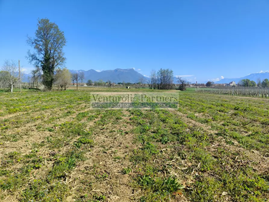 Immagine 5 di Terreno in vendita  in via delle noveglie a Manerba Del Garda