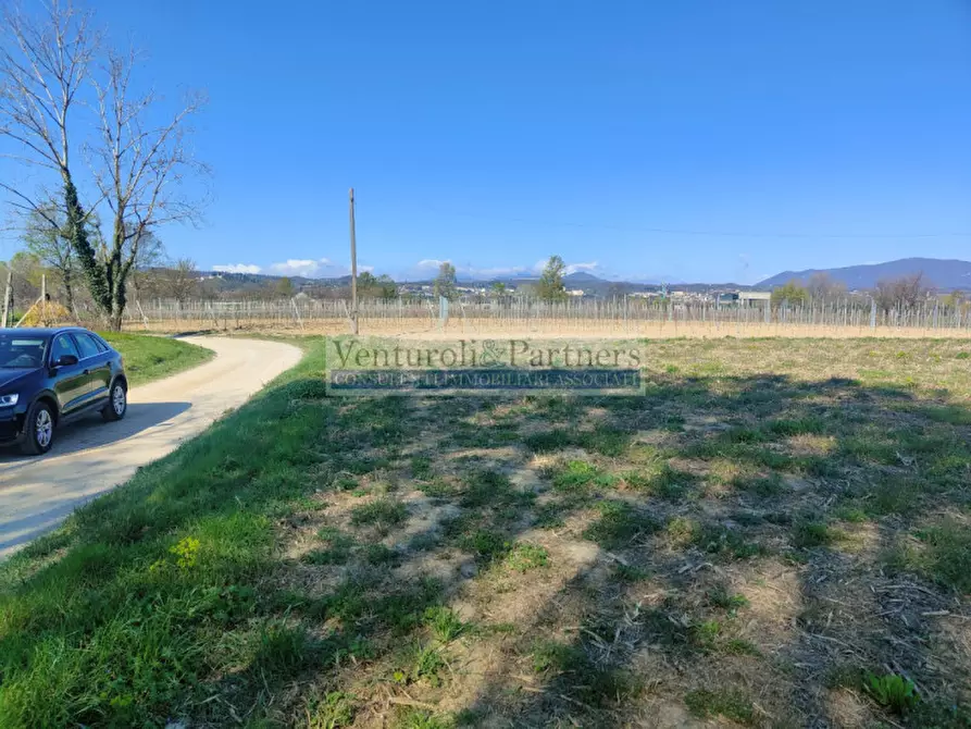 Immagine 6 di Terreno in vendita  in via delle noveglie a Manerba Del Garda