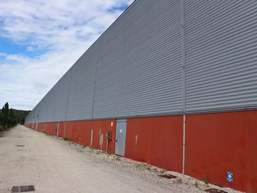 Immagine 5 di Capannone industriale in vendita  in via Torgianese, N. 42 a Bettona