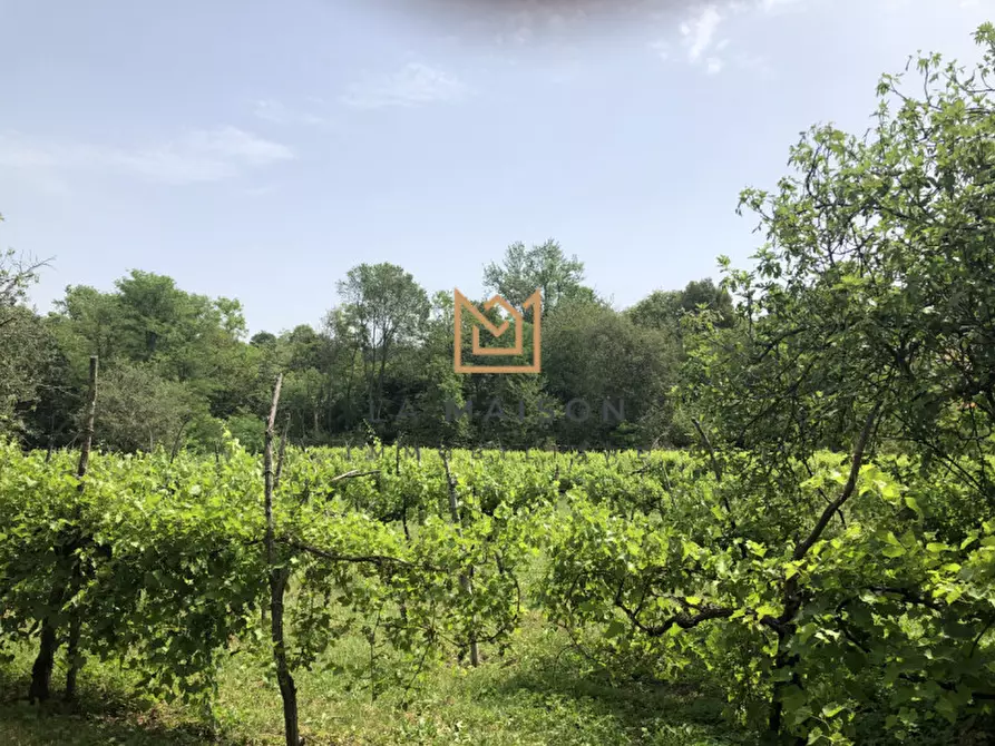 Immagine 8 di Rustico / casale in vendita  in via Fornaci a Asolo