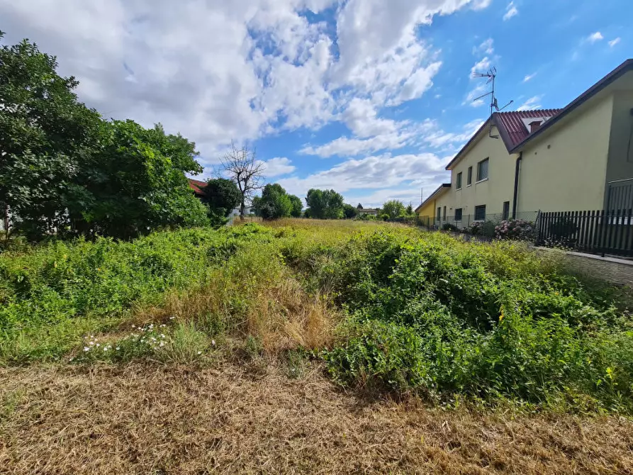 Immagine 1 di Terreno in vendita  in via filippi nuova a Ospedaletto Euganeo