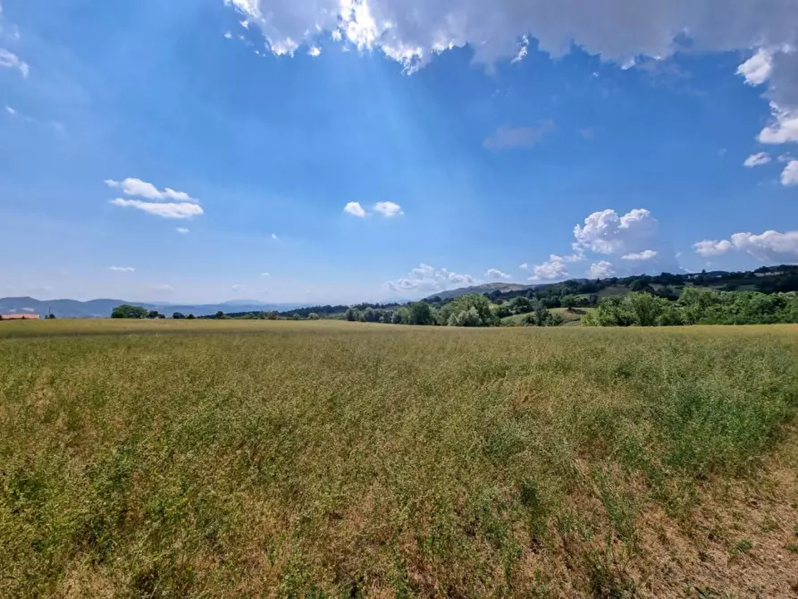 Immagine 27 di Casa indipendente in vendita  in Località Genghe a Carpegna