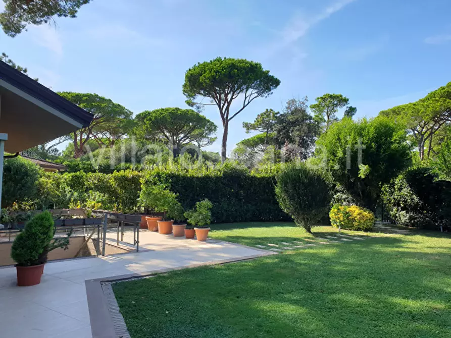 Immagine 2 di Villa in vendita  in Consorzio Pineta di Roccamare a Castiglione Della Pescaia