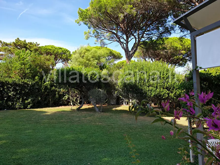 Immagine 3 di Villa in vendita  in Consorzio Pineta di Roccamare a Castiglione Della Pescaia