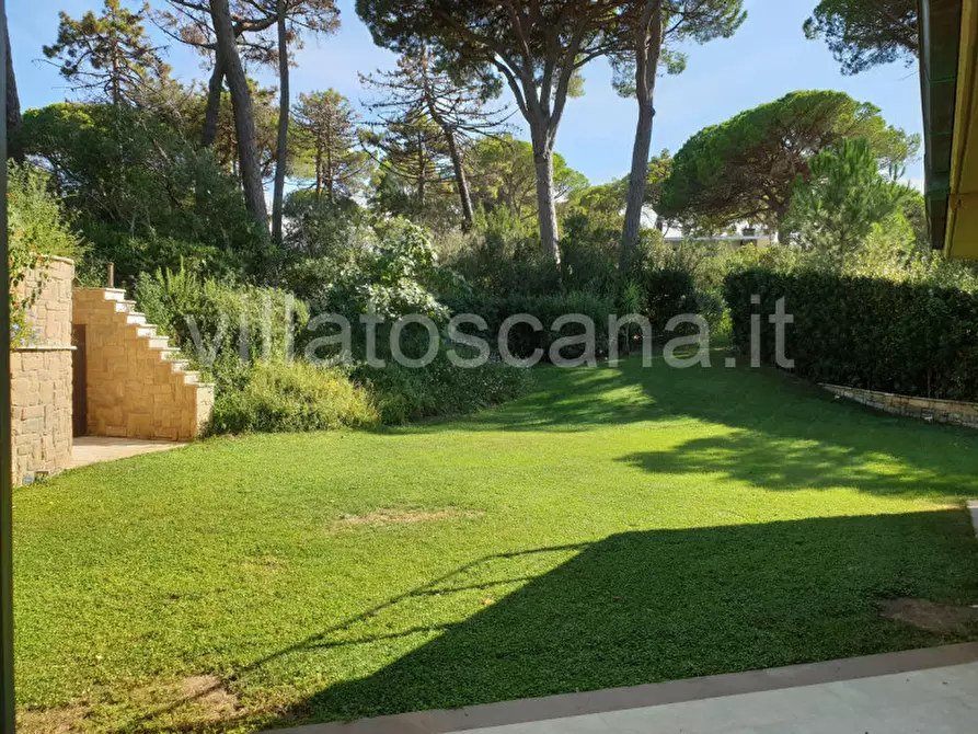 Immagine 18 di Villa in vendita  in Consorzio Pineta di Roccamare a Castiglione Della Pescaia