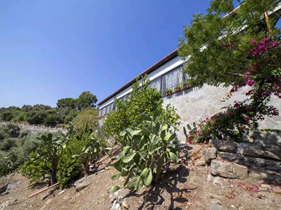 Immagine 31 di Attività commerciale in vendita  in VIA PANORAMICA a Milazzo