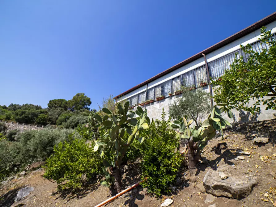 Immagine 33 di Attività commerciale in vendita  in VIA PANORAMICA a Milazzo