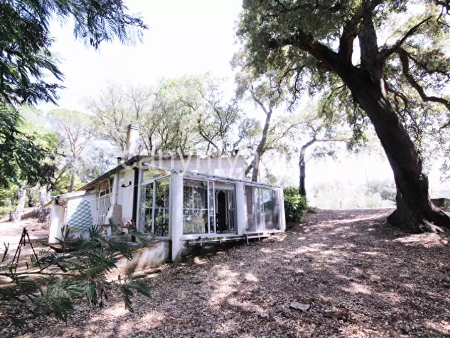 Immagine 27 di Casa indipendente in vendita  in Località Ampio a Castiglione Della Pescaia