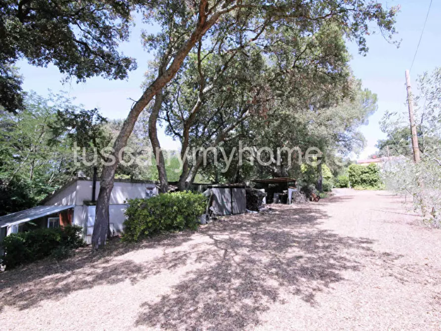 Immagine 28 di Casa indipendente in vendita  in Località Ampio a Castiglione Della Pescaia