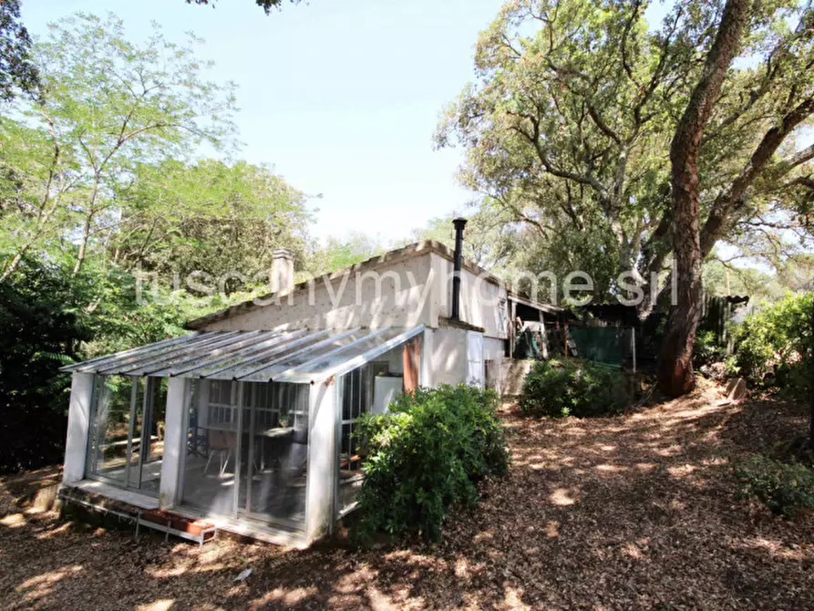 Immagine 33 di Casa indipendente in vendita  in Località Ampio a Castiglione Della Pescaia