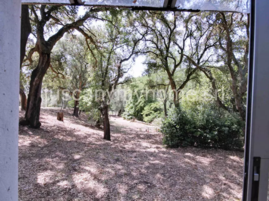 Immagine 37 di Casa indipendente in vendita  in Località Ampio a Castiglione Della Pescaia