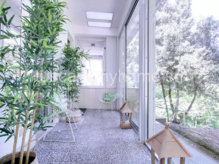 Immagine 40 di Casa indipendente in vendita  in Località Ampio a Castiglione Della Pescaia