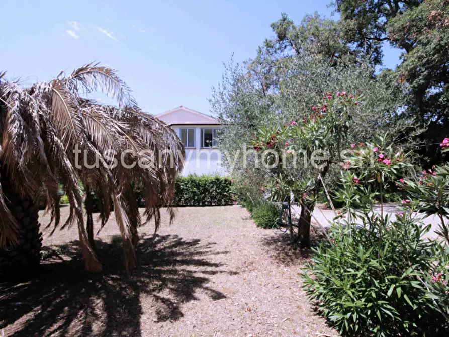 Immagine 42 di Casa indipendente in vendita  in Località Ampio a Castiglione Della Pescaia