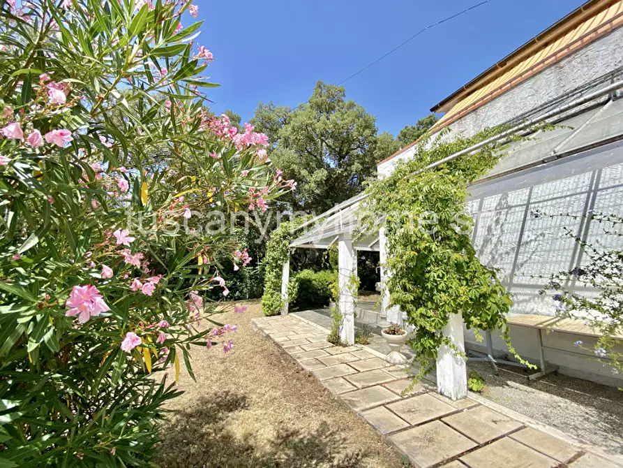 Immagine 57 di Casa indipendente in vendita  in Località Ampio a Castiglione Della Pescaia