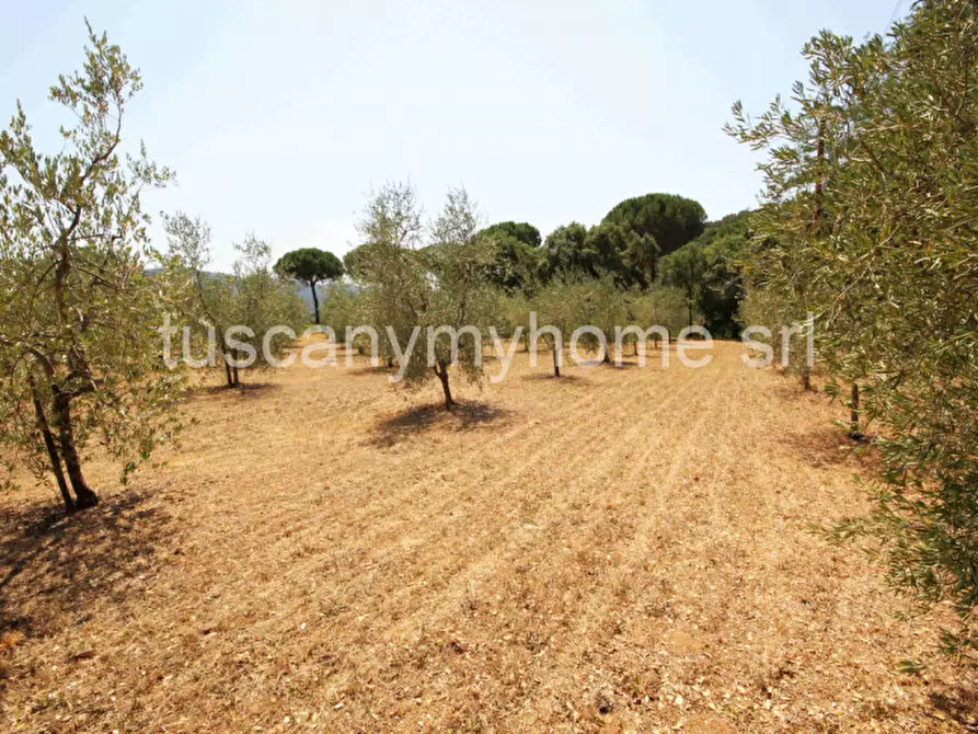 Immagine 79 di Casa indipendente in vendita  in Località Ampio a Castiglione Della Pescaia