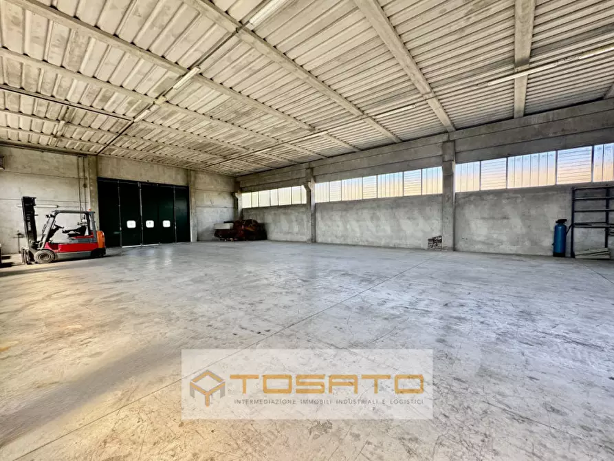 Immagine 2 di Capannone industriale in vendita  a Cerea