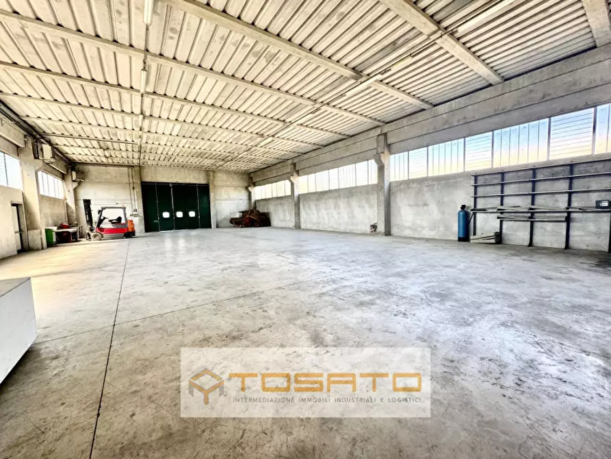 Immagine 3 di Capannone industriale in vendita  a Cerea