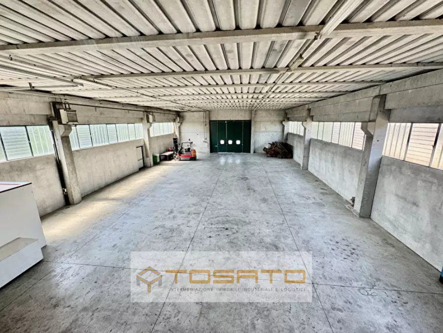 Immagine 4 di Capannone industriale in vendita  a Cerea