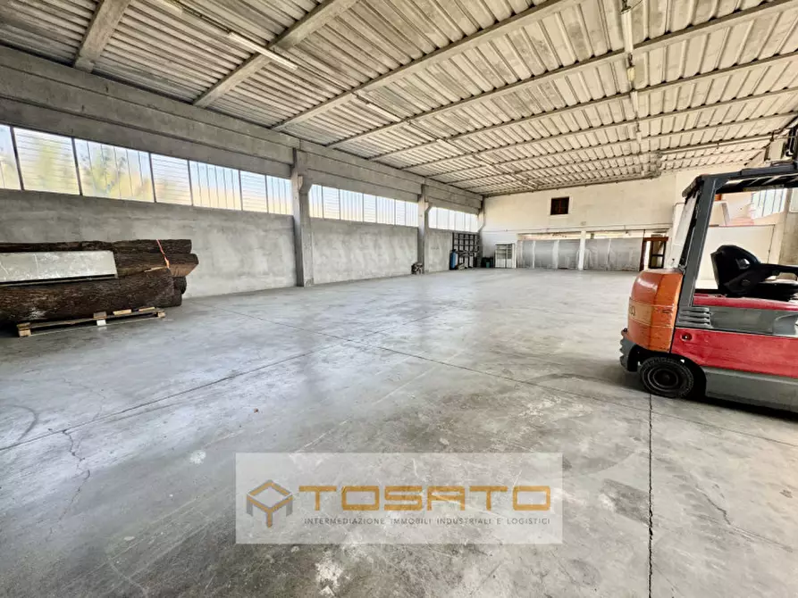 Immagine 6 di Capannone industriale in vendita  a Cerea