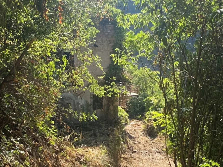 Immagine 2 di Terreno in vendita  a Trento