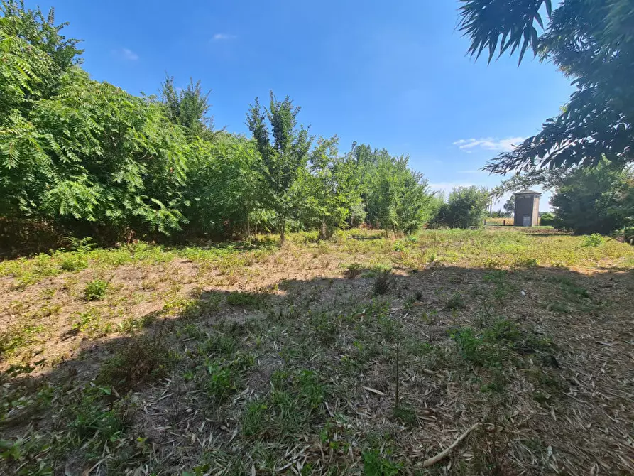 Immagine 2 di Terreno in vendita  in VIA BOVOLINE a Megliadino San Vitale