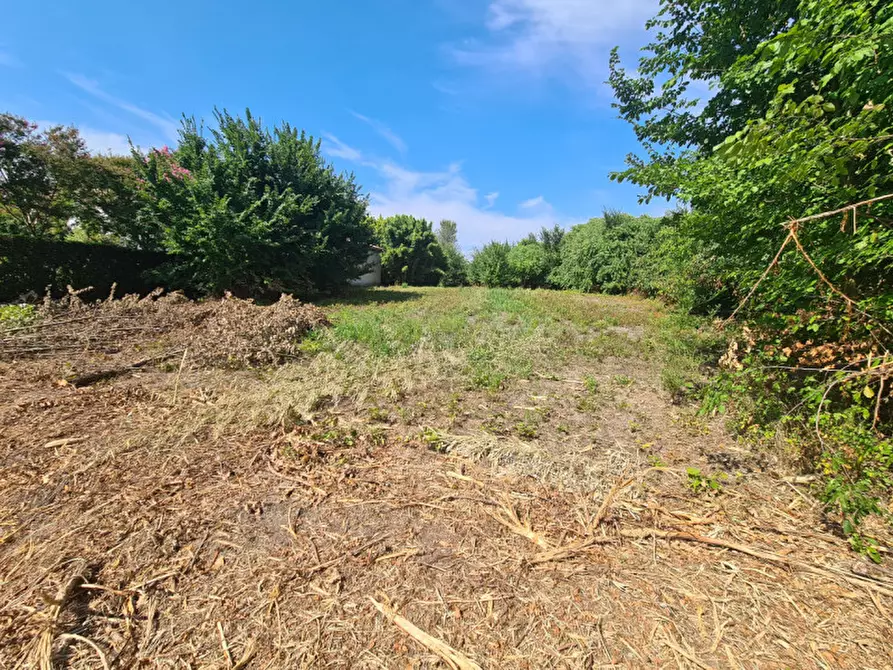 Immagine 5 di Terreno in vendita  in VIA BOVOLINE a Megliadino San Vitale