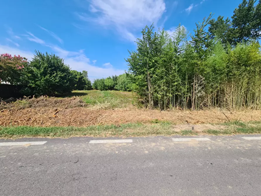 Immagine 6 di Terreno in vendita  in VIA BOVOLINE a Megliadino San Vitale