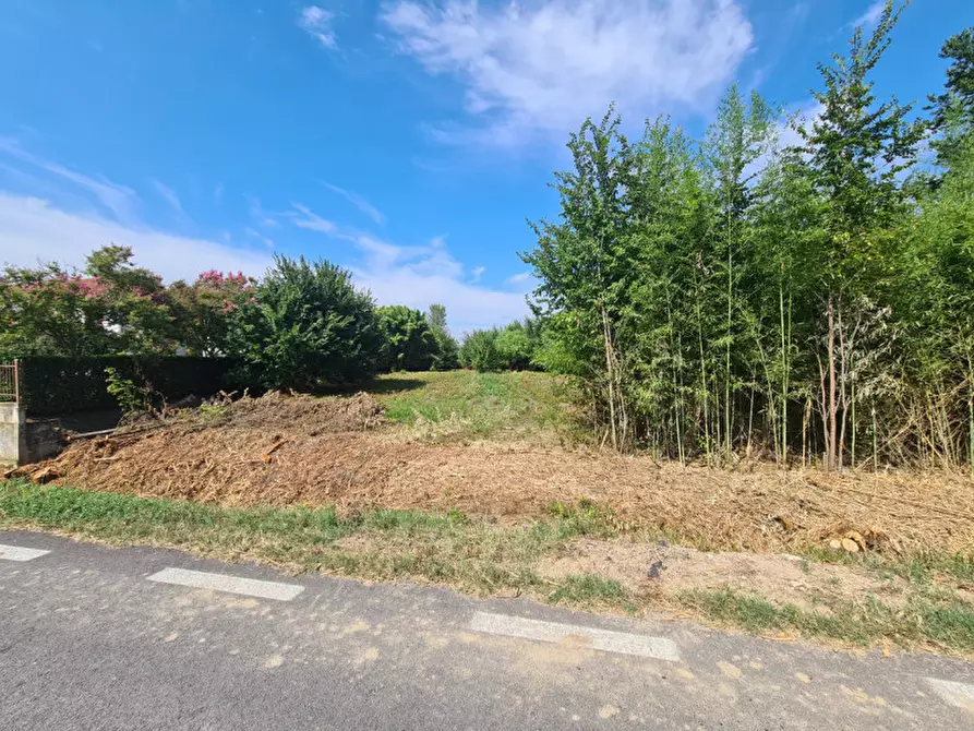 Immagine 7 di Terreno in vendita  in VIA BOVOLINE a Megliadino San Vitale