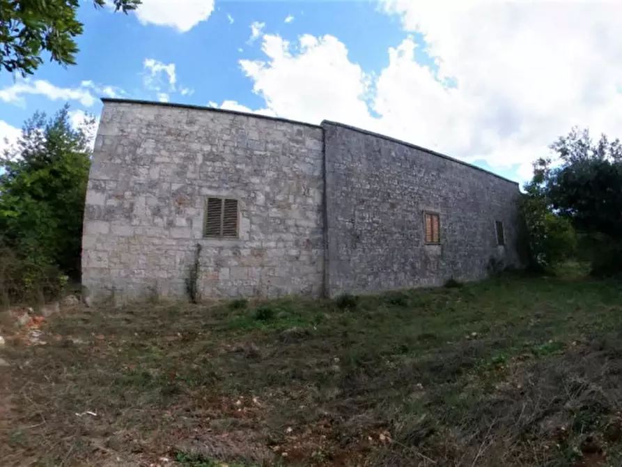 Immagine 45 di Rustico / casale in vendita  in CADELU a Monopoli