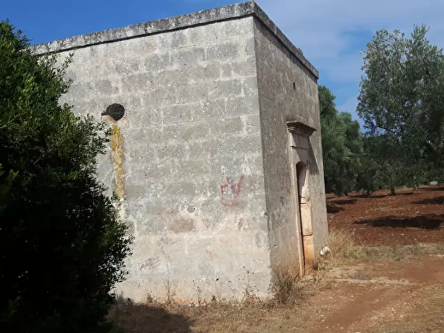 Immagine 1 di Rustico / casale in vendita  in C.da Alberodolce a Ostuni