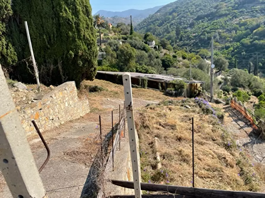 Immagine 16 di Villa in vendita  in via silvio pellico a Bordighera