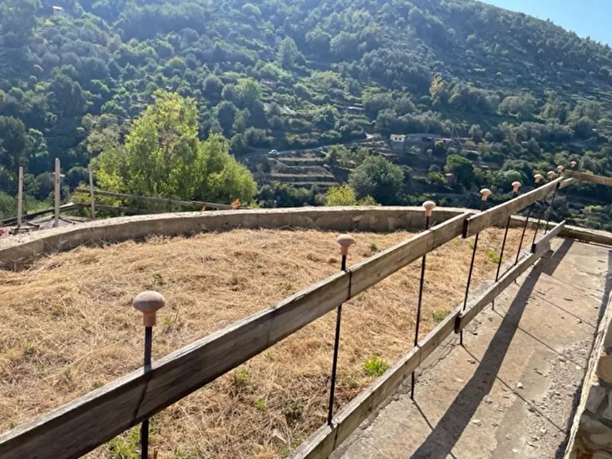 Immagine 17 di Villa in vendita  in via silvio pellico a Bordighera