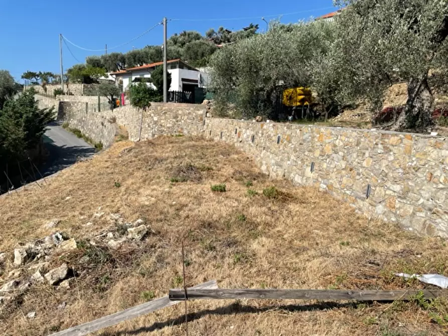 Immagine 18 di Villa in vendita  in via silvio pellico a Bordighera