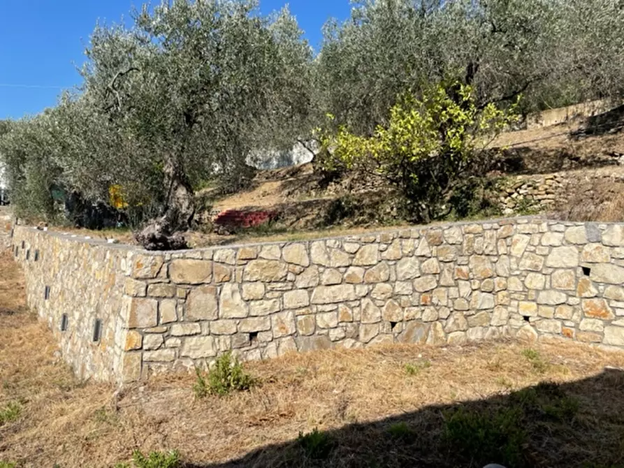 Immagine 19 di Villa in vendita  in via silvio pellico a Bordighera