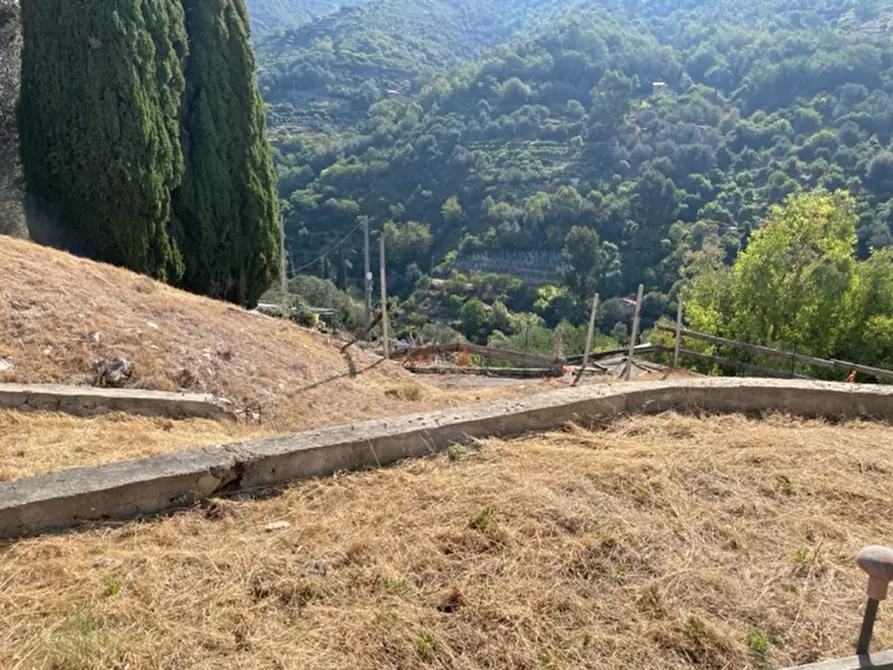 Immagine 20 di Villa in vendita  in via silvio pellico a Bordighera