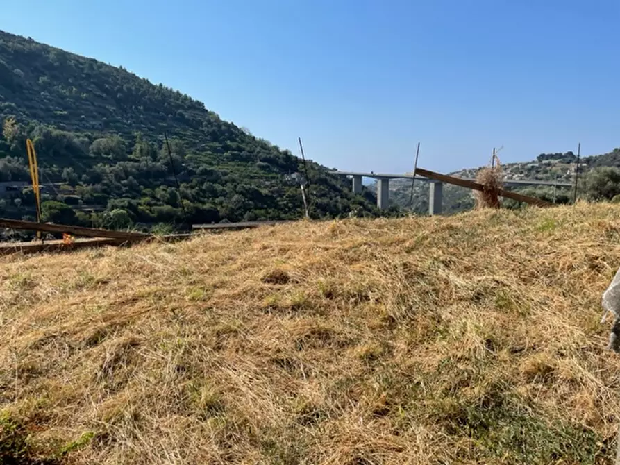 Immagine 21 di Villa in vendita  in via silvio pellico a Bordighera