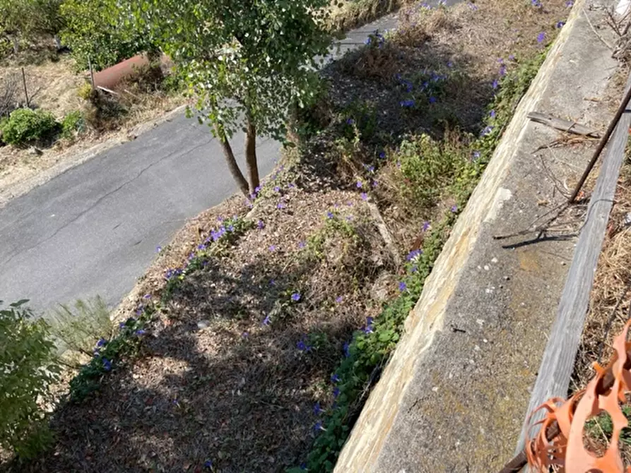 Immagine 22 di Villa in vendita  in via silvio pellico a Bordighera