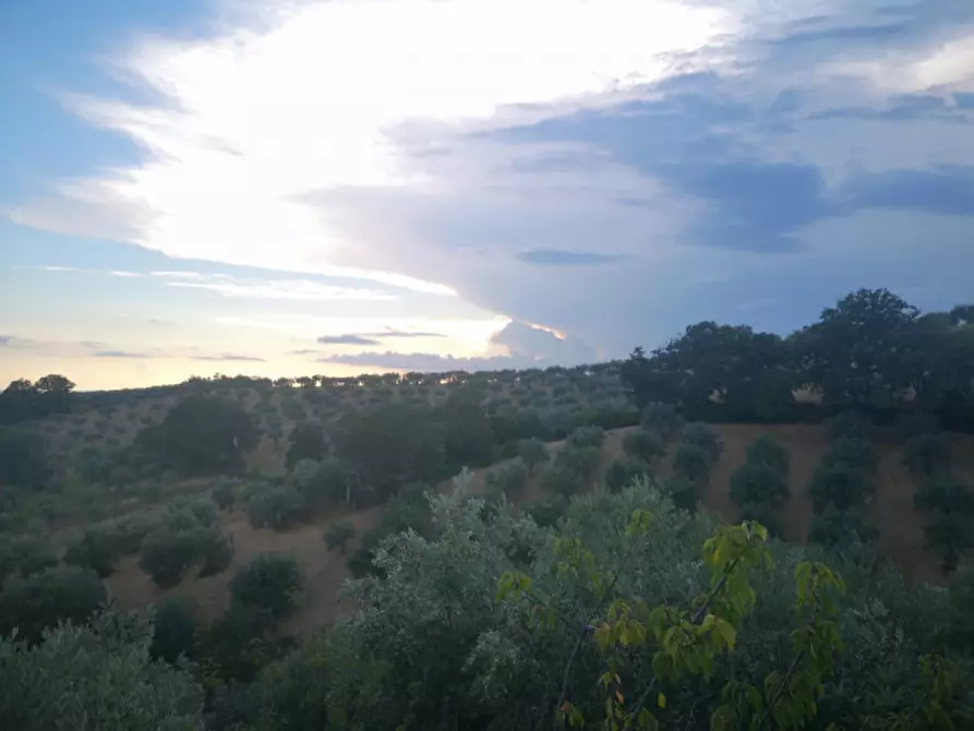 Immagine 15 di Appartamento in vendita  in VIA ACQUABIANCA a Serre