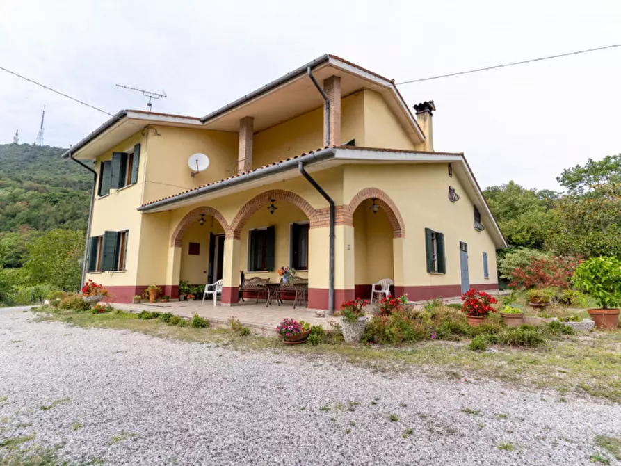 Immagine 1 di Villa in vendita  a Cinto Euganeo