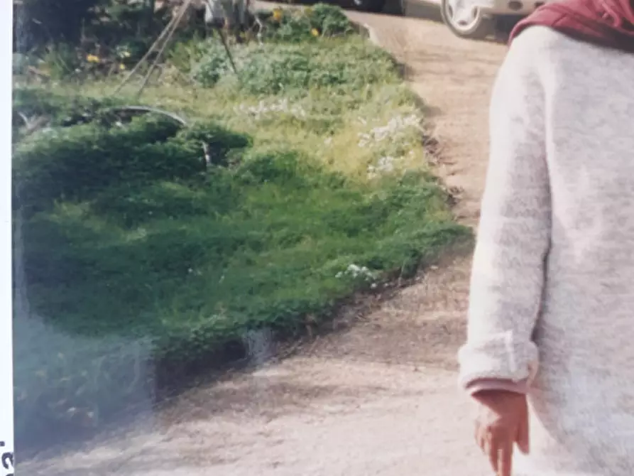 Immagine 5 di Casa indipendente in vendita  in Contarda Grotticelle a Castellammare Del Golfo