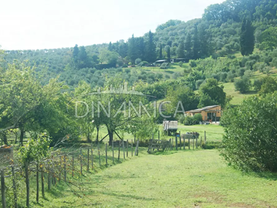 Immagine 5 di Agriturismo in vendita  a Castelfiorentino