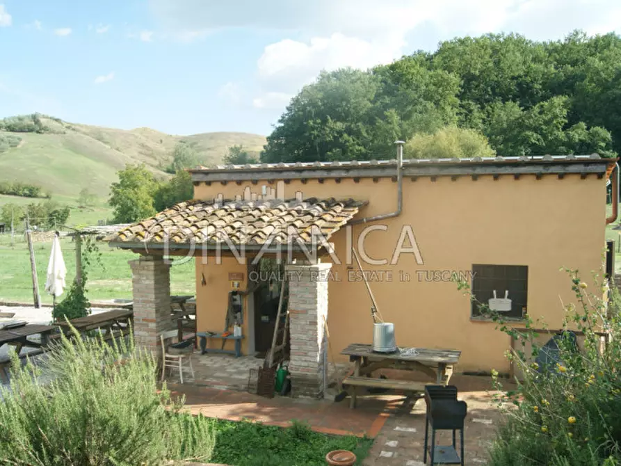 Immagine 11 di Agriturismo in vendita  a Castelfiorentino