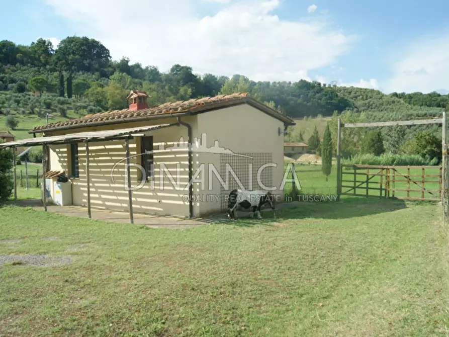 Immagine 29 di Agriturismo in vendita  a Castelfiorentino