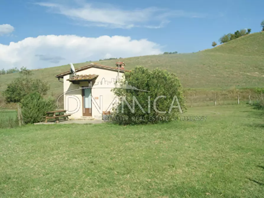 Immagine 33 di Agriturismo in vendita  a Castelfiorentino