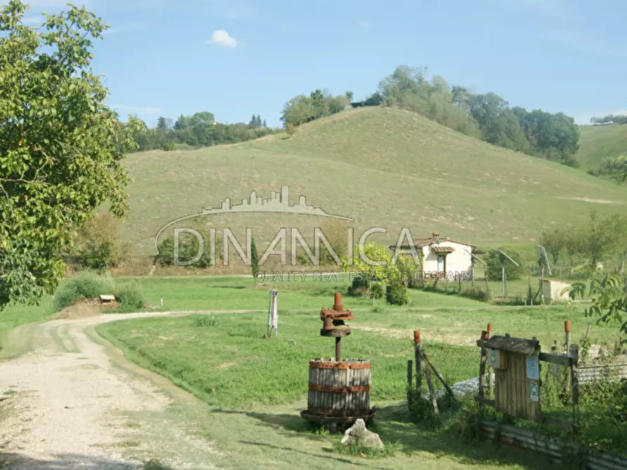 Immagine 35 di Agriturismo in vendita  a Castelfiorentino
