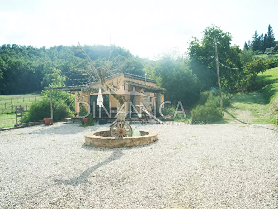 Immagine 36 di Agriturismo in vendita  a Castelfiorentino